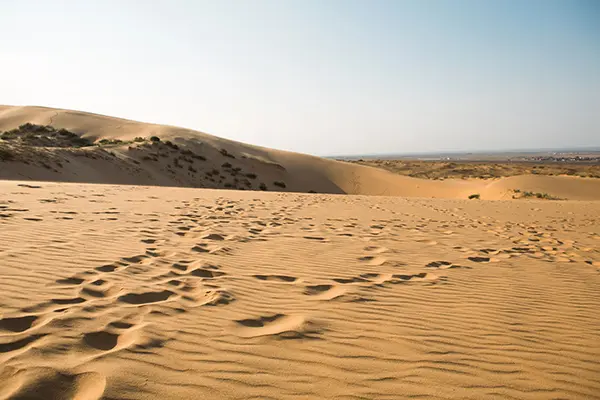 Rent Land in Mina Abdullah Port