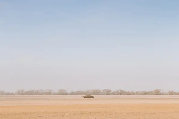 Rent Land in Mina Abdullah Port