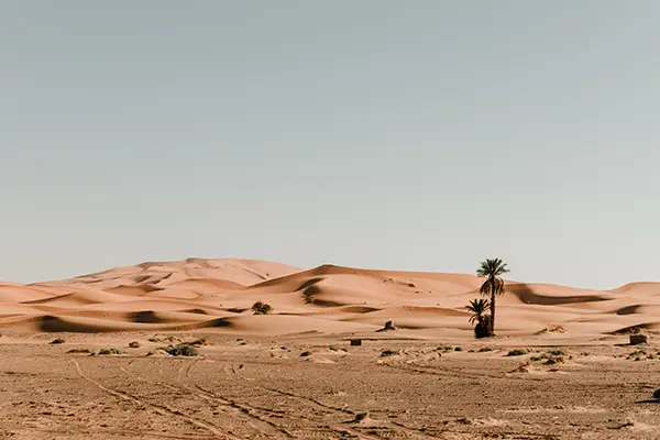 Rent Land in Mina Abdullah Port