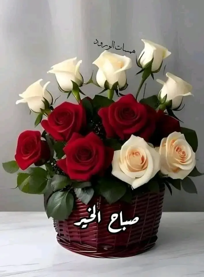 للبيع بيت في الرميثية