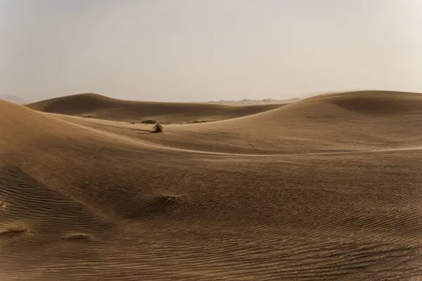 Rent Land in Mina Abdullah Port