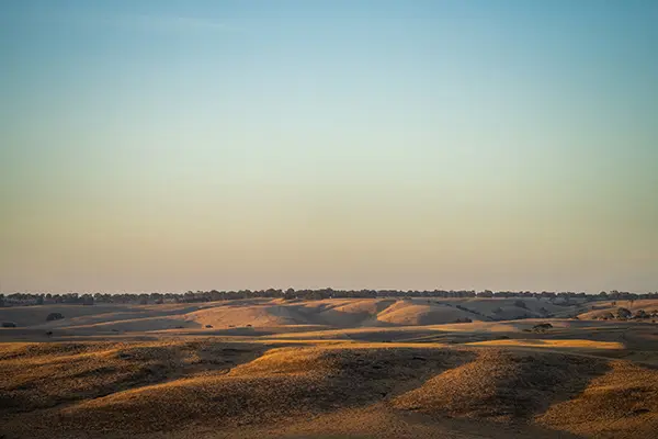 Rent Land in Mina Abdullah Port