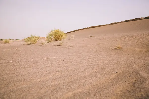 Rent Land in Mina Abdullah Port