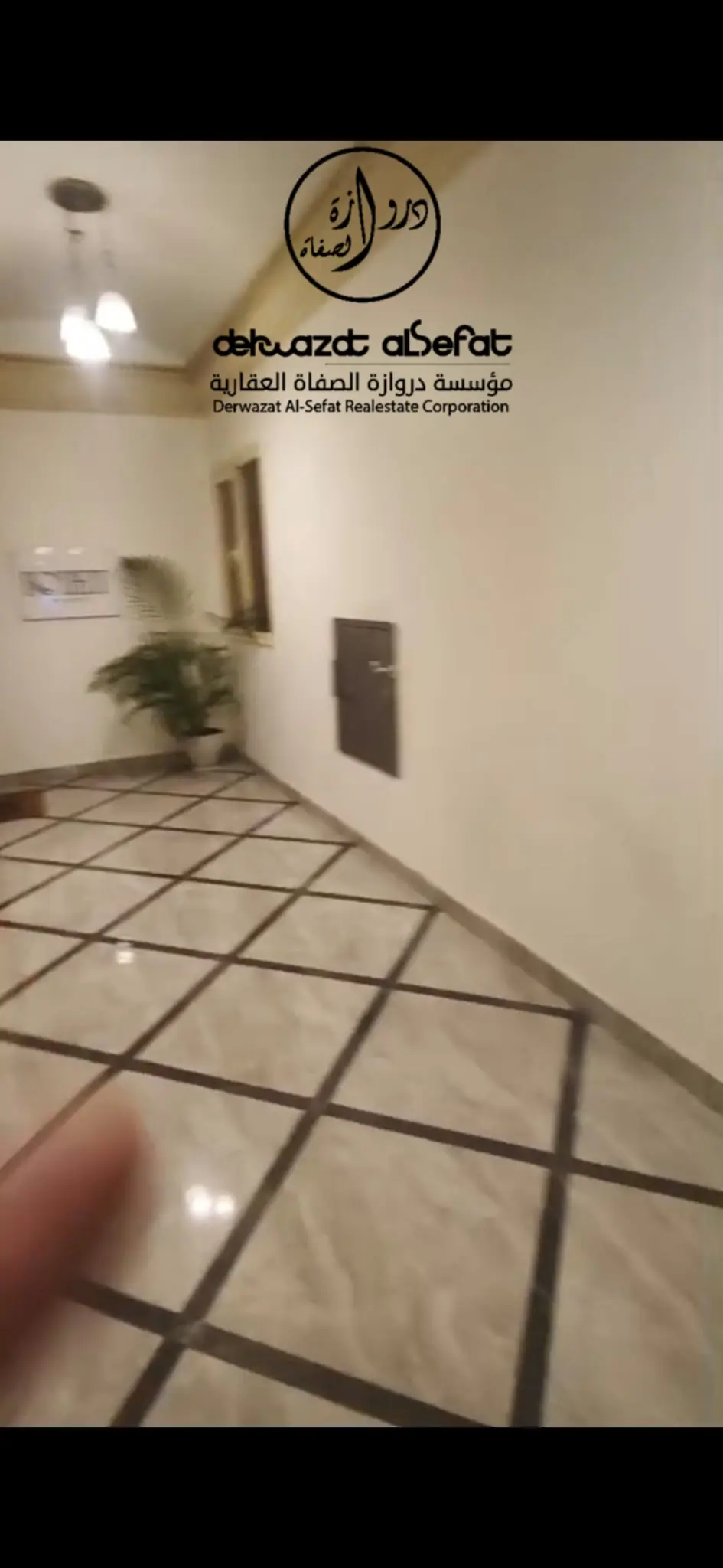 Rent Apartment in Salmiya