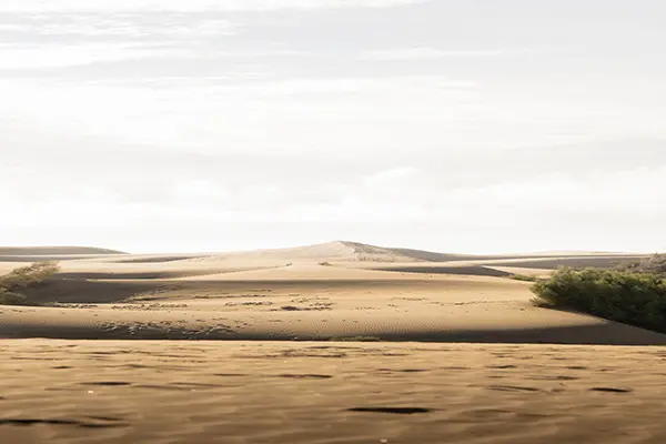 Rent Land in Mina Abdullah Port